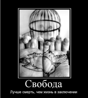 Тв статусы путешествие в тайланд беременной