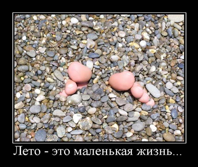 статусы про лето статусы про лето